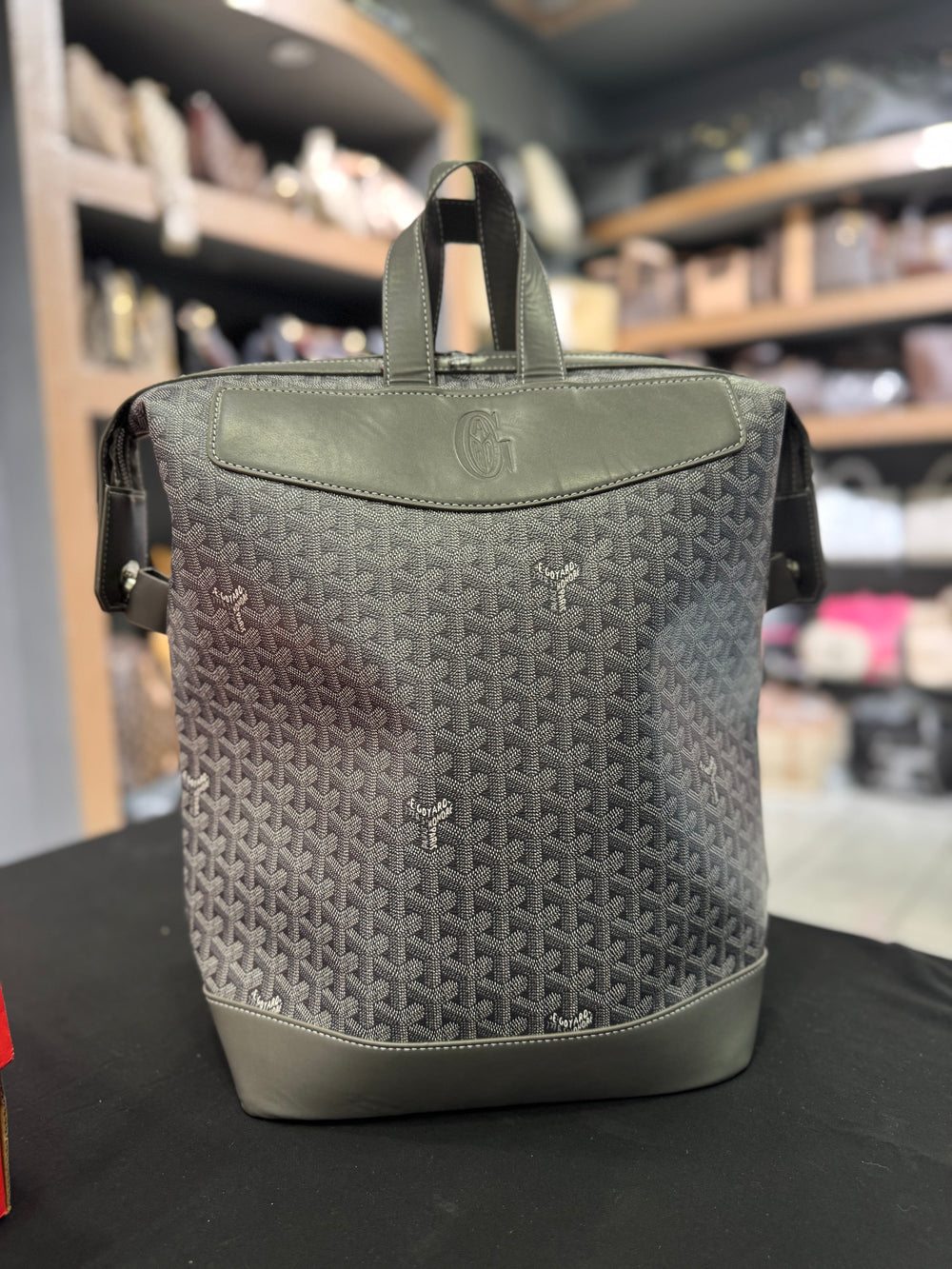 Goyard Cisalpin backpack Grey (quality A+)