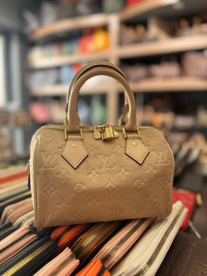 Louis Vuitton speedy 25 suede