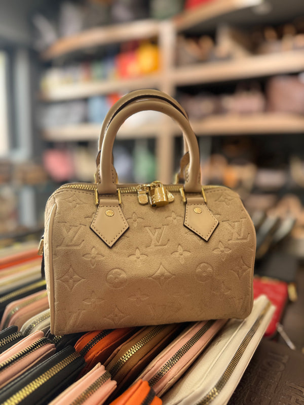 Louis Vuitton speedy 25 suede