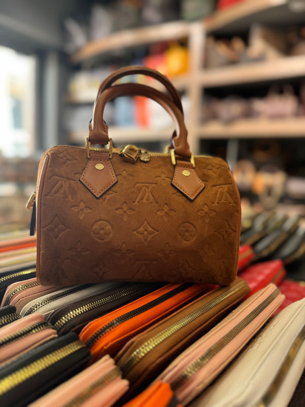 Louis Vuitton speedy 25 suede