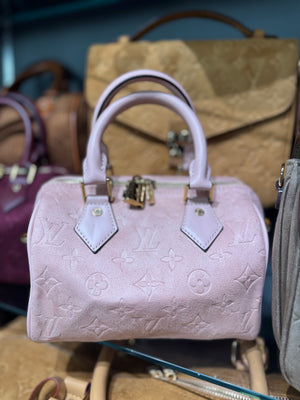 Louis Vuitton speedy 25 suede