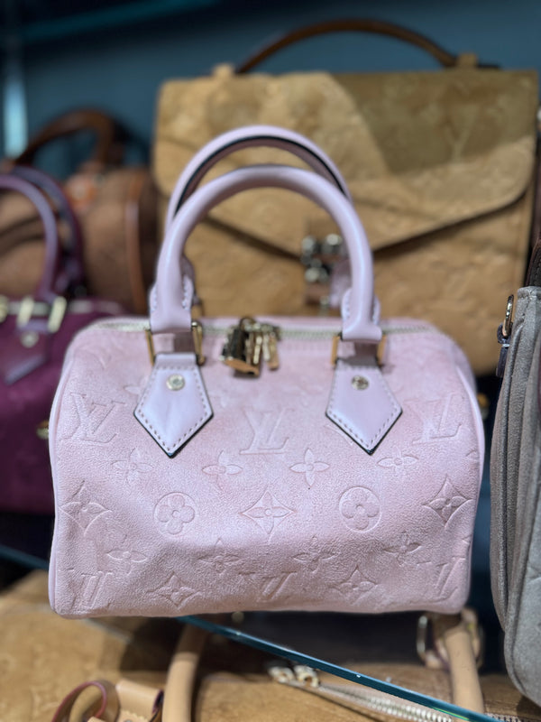 Louis Vuitton speedy 25 suede