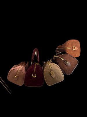 Louis Vuitton speedy 25 suede