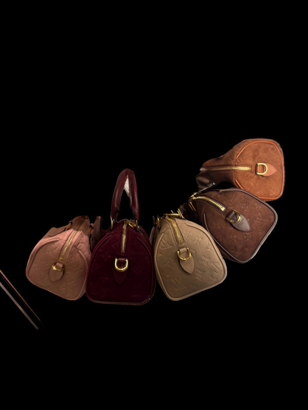 Louis Vuitton speedy 25 suede