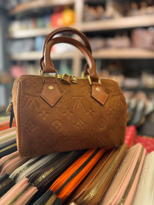 Louis Vuitton speedy 25 suede