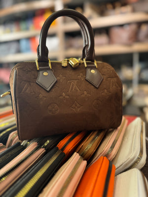 Louis Vuitton speedy 25 suede