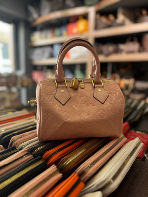 Louis Vuitton speedy 25 suede