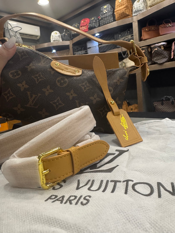 Louis Vuitton pochette Hills(quality A+)