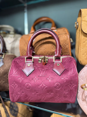 Louis Vuitton speedy 25 suede