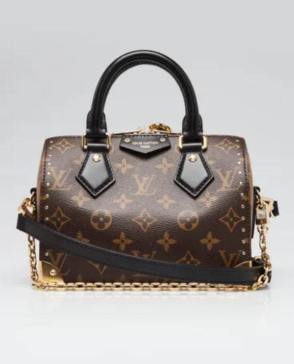 Louis Vuitton Speedy Trunk 20