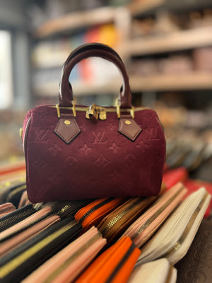 Louis Vuitton speedy 25 suede