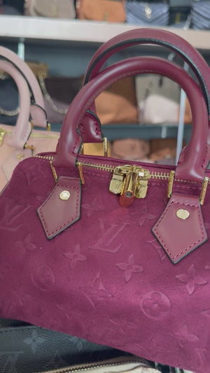 Louis Vuitton speedy 25 suede